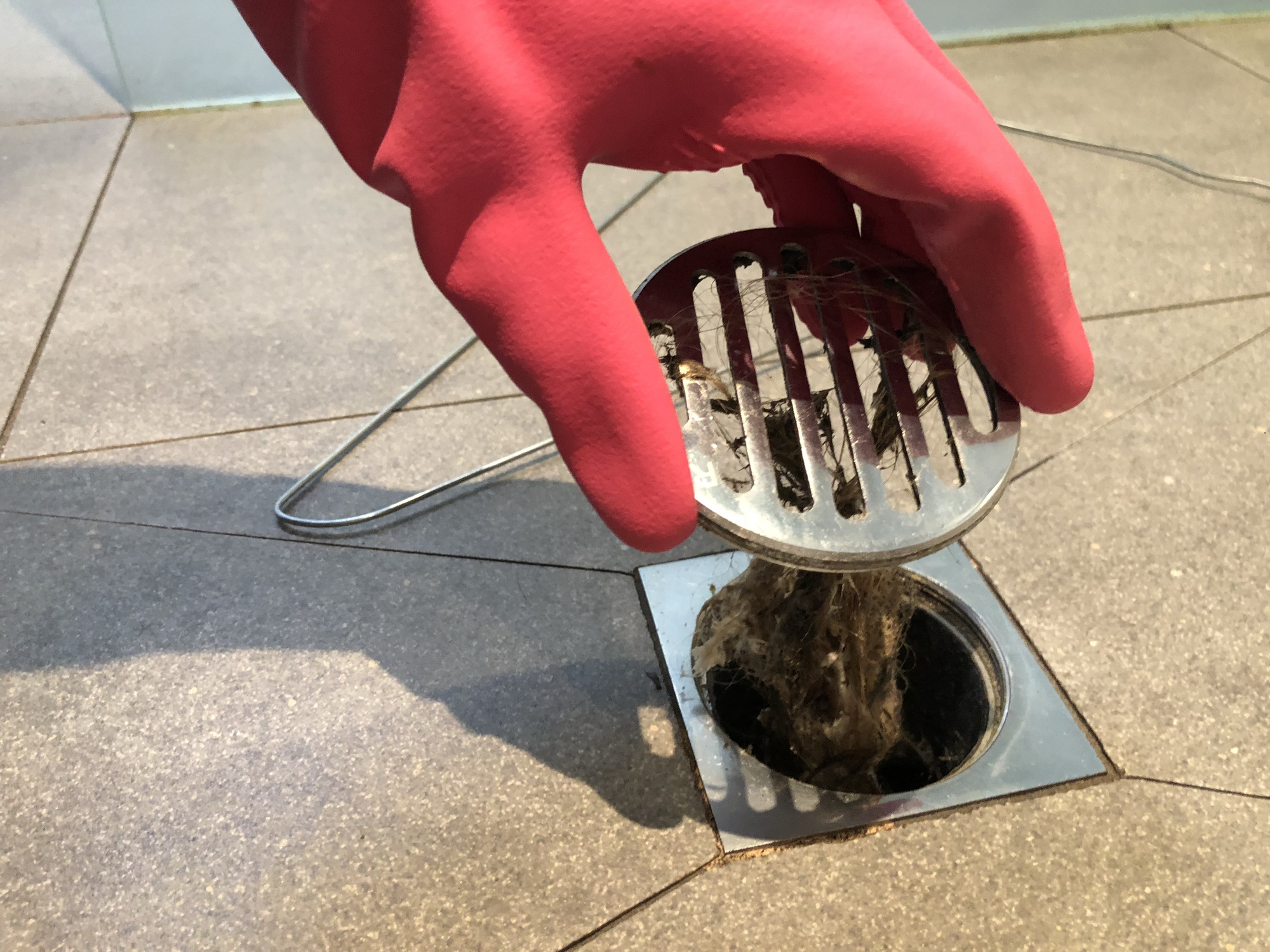 drain cleaning tampa fl