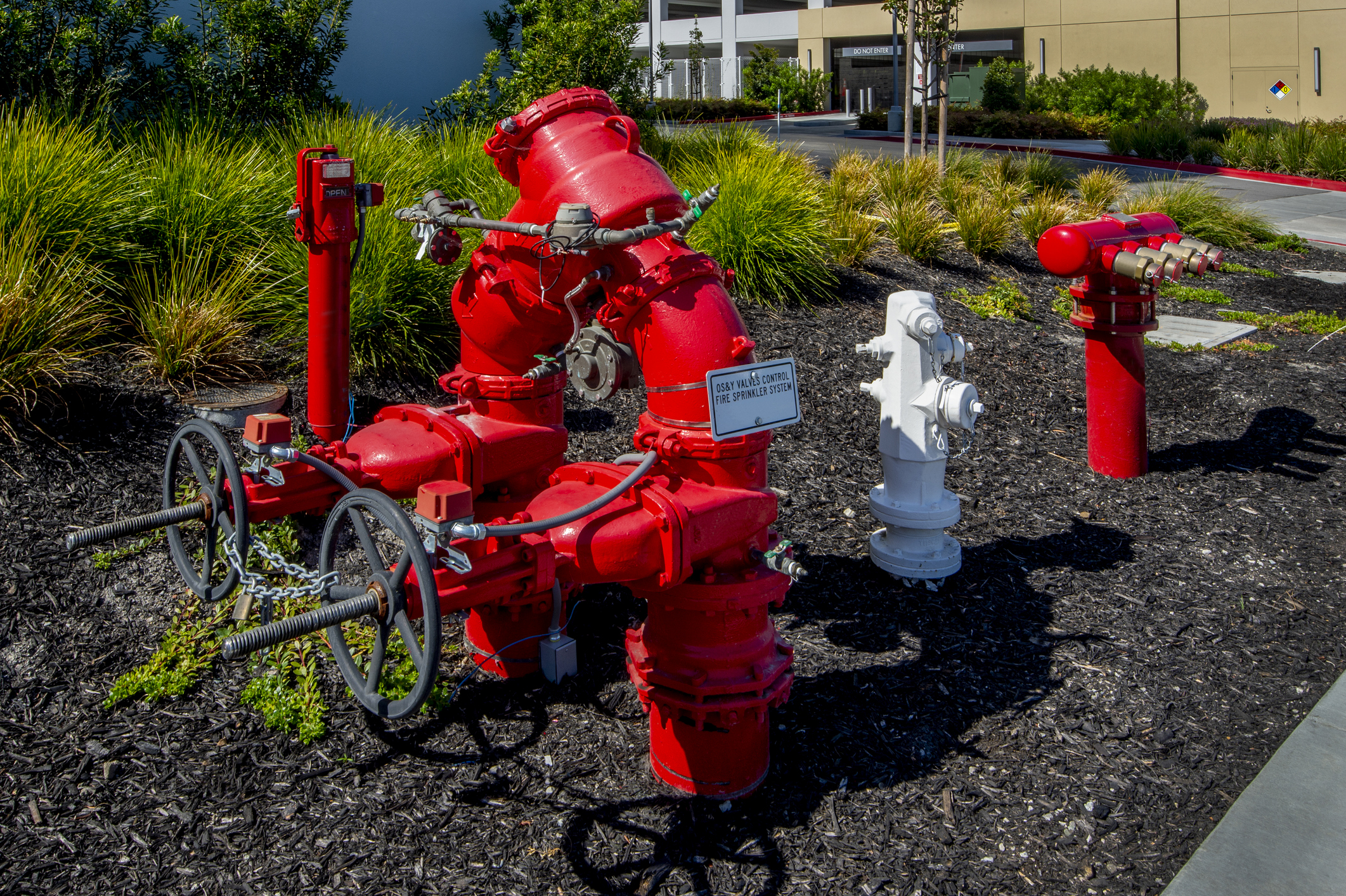backflow testing cost tampa fl