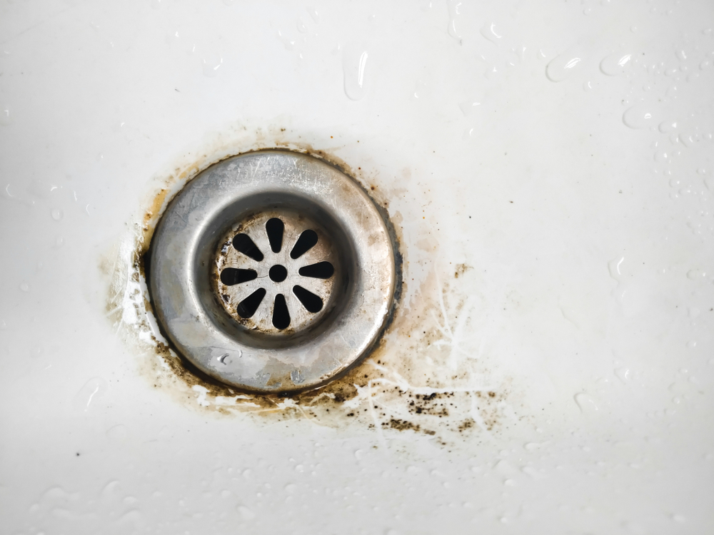Plumber inspecting guest bathroom drains that smell like sulfur during the summer months